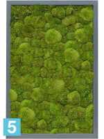 Картина из искусственного мха атласный блеск 100% шаровый мох l-60 w-40 h-6 см в #REGION_NAME_DECLINE_PP#