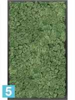 Картина из искусственного мха атласный блеск 100% олений мох (мох зеленый) l-100 w-60 h-6 см в #REGION_NAME_DECLINE_PP#