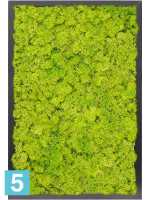 Картина из искусственного мха сатин блеск 100% олений мох (весенний зеленый) темный фон l-60 w-40 h-6 см в #REGION_NAME_DECLINE_PP#