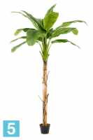 Пальма Банановая искусственная Emerald (15 листов) 180h в #REGION_NAME_DECLINE_PP#
