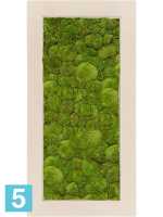Картина из искусственного мха натуральный 100% шаровой мох l-100 w-50 h-5 см в #REGION_NAME_DECLINE_PP#