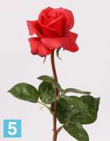 Искусственный цветок для декора Роза Каролина Sensitive Botanic красный в #REGION_NAME_DECLINE_PP#