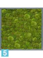 Картина из искусственного мха атласный блеск 100% шаровый мох l-60 w-60 h-6 см в #REGION_NAME_DECLINE_PP#