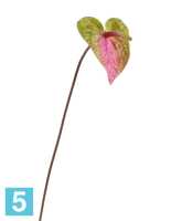 Искусственный цветок для декора Антуриум зелено-розовый TREEZ Collection в #REGION_NAME_DECLINE_PP#