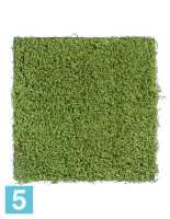 Искусственный мох рясковый светло-зеленый (полотно) квадрат TREEZ Collection в Москве