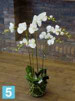 Орхидея фаленопсис белая с землёй и мхом искусственная h-90 см в #REGION_NAME_DECLINE_PP#