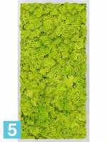 Картина из искусственного мха алюминий 100% олений мох (весенний зеленый) l-80 w-40 h-6 см в #REGION_NAME_DECLINE_PP#