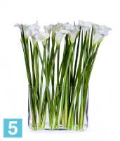 Композиция из искусственных цветов Каллы белые в прямоугольном дизайн-стекле с водой TREEZ Collection в #REGION_NAME_DECLINE_PP#