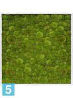 Картина из искусственного мха сатин блеск 100% шаровой мох l-100 w-100 h-6 см