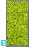Картина из искусственного мха атласный блеск 100% олений мох (весенний зеленый) l-80 w-40 h-6 см в #REGION_NAME_DECLINE_PP#