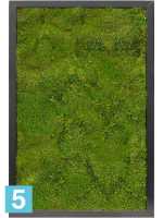 Картина из искусственного мха satin gloss 100% плоский мох l-60 w-40 h-6 см в #REGION_NAME_DECLINE_PP#