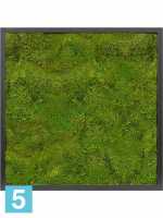 Картина из искусственного мха сатин блеск 100% плоский мох темный фон l-60 w-60 h-6 см в #REGION_NAME_DECLINE_PP#