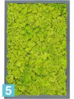 Картина из искусственного мха атласный блеск 100% олений мох (весенний зеленый) l-60 w-40 h-6 см в #REGION_NAME_DECLINE_PP#
