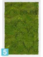 Картина из искусственного мха сатин блеск 100% плоский мох светлый фон l-60 w-40 h-6 см в #REGION_NAME_DECLINE_PP#