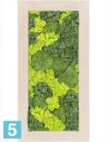 Картина из искусственного мха polystone натуральный 30% шаровый мох 70% олений мох (микс) l-100 w-50 h-5 см в Москве