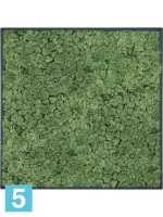 Картина из искусственного мха stiel l матовая 100% олений мох (мох зеленый) темный фон l-70 w-70 h-6 см в #REGION_NAME_DECLINE_PP#