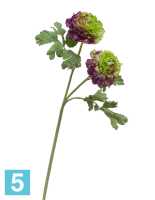 Искусственный цветок для декора ранункулюс махровый светлозеленый с фиолетовым TREEZ Collection в #REGION_NAME_DECLINE_PP#