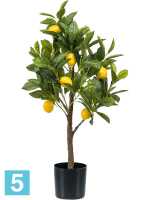 Лимонное искусственное Дерево Разветвленное h-72 см