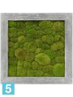 Картина из искусственного мха polystone raw grey 100% шар мох l-50 w-50 h-5 см в #REGION_NAME_DECLINE_PP#