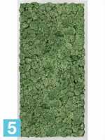 Картина из искусственного мха алюминий 100% олений мох (мох зеленый) l-80 w-40 h-6 см в #REGION_NAME_DECLINE_PP#