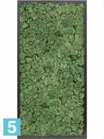 Картина из искусственного мха сатин блеск 100% олений мох (мох зеленый) l-80 w-40 h-6 см в #REGION_NAME_DECLINE_PP#