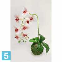 Кокедама искусственная Alseed, d-15 "Орхидея" бело-мал, латекс