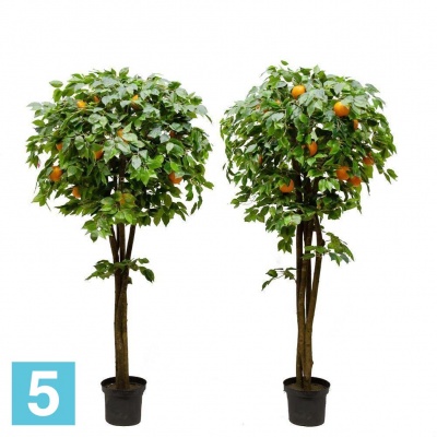 Апельсиновое дерево искусственное Alseed, h-180 см., латекс в #REGION_NAME_DECLINE_PP#