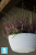 Кашпо Lamela Hanging Bowl Jersey, кремовое 30-d, 14,5-h в Санкт-Петербурге