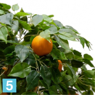 Апельсиновое дерево искусственное Alseed, h-180 см., латекс в Санкт-Петербурге