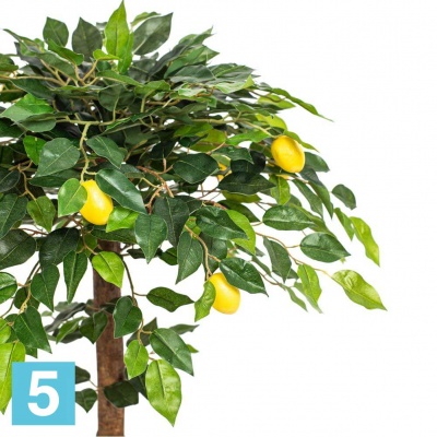 Бонсай плодовый "Лимон-мини" на кругл.основании искусственный Alseed в #REGION_NAME_DECLINE_PP#