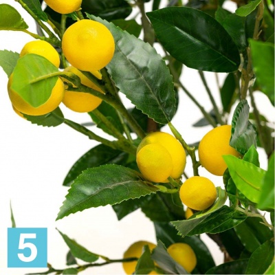 Лимон с плодами искусственный Alseed, h-110 см., латекс в #REGION_NAME_DECLINE_PP#