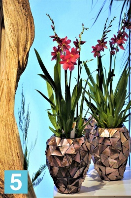 Напольное кашпо Fleur ami Shell Orchid Planter mother of pearl 17-d, 24-h, коричневое в Санкт-Петербурге