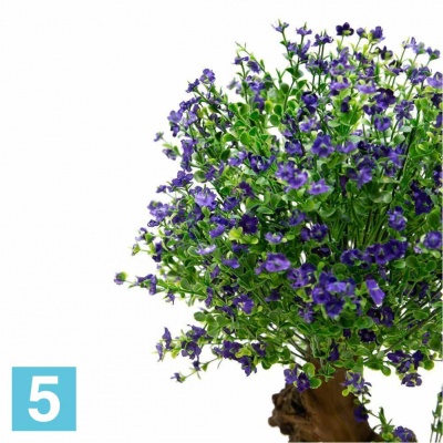 Бонсай цветущий Самшит искусственный Alseed, фиолетовый, h-55 см. в #REGION_NAME_DECLINE_PP#