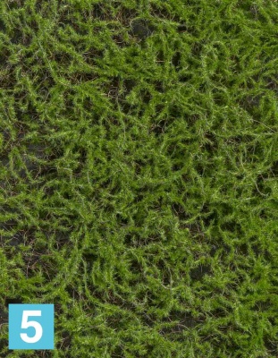 Мох Сфагнум Fuscum зелёный (полотно) искусственный TREEZ Collection 50h в Санкт-Петербурге