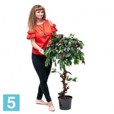 Дерево плодовое Яблоня-мини искусственное Alseed, h-100 см., красная в Санкт-Петербурге