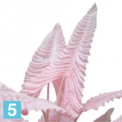 Каладиум куст розовый искусственный Alseed, h-170 см., плотный силикон в Санкт-Петербурге