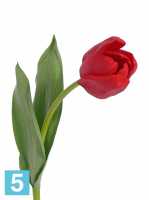 Искусственный цветок для декора Тюльпан Королевский "Royal" Sensitive Botanic 5dx48h красный (2 листа) в Москве
