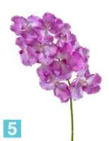 Искусственный цветок для декора Орхидея Ванда с ярко-сиреневыми прожилками TREEZ Collection в #REGION_NAME_DECLINE_PP#