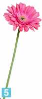 Искусственный цветок для декора Гербера 10dx60h фуксия (Sensitive Botanic) в #REGION_NAME_DECLINE_PP#