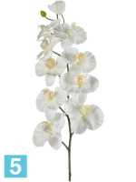 Орхидея фаленопсис ветвь белая искусственная h-100 см в #REGION_NAME_DECLINE_PP#