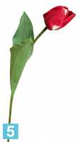 Искусственный цветок для декора Тюльпан Sensitive Botanic красный в #REGION_NAME_DECLINE_PP#