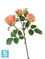 Искусственный цветок для декора Роза Флорибунда ветвь розово-персиковая TREEZ Collection в #REGION_NAME_DECLINE_PP#