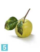 Яблоко нежно-зелёное искусственное TREEZ Collection на веточке в #REGION_NAME_DECLINE_PP#