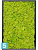Картина из искусственного мха сатин блеск 100% олений мох (весенний зеленый) темный фон l-60 w-40 h-6 см в #REGION_NAME_DECLINE_PP#