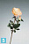 Искусственный цветок для декора Роза Элизабет Sensitive Botanic персиковый (с бутоном) в #REGION_NAME_DECLINE_PP#