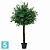 Оливковое дерево 200 см. искусственное Alseed, латекс в #REGION_NAME_DECLINE_PP#